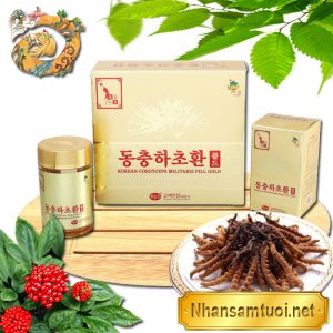 Viên Đông Trùng Hạ Thảo KGS